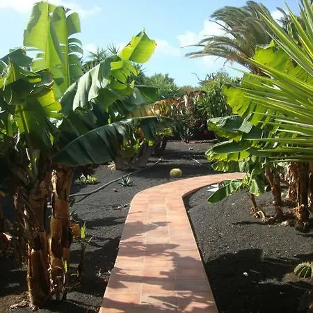 Las Palmeras Holiday home *