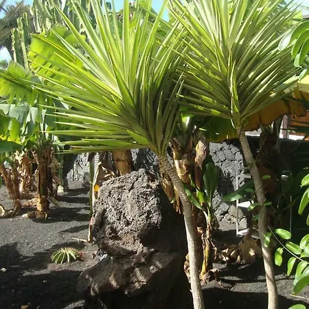 Сasa de vacaciones Las Palmeras *